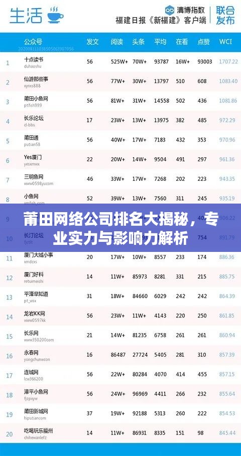 莆田网络公司排名大揭秘，专业实力与影响力解析