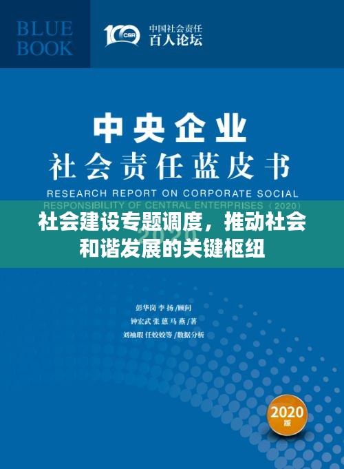 社会建设专题调度，推动社会和谐发展的关键枢纽