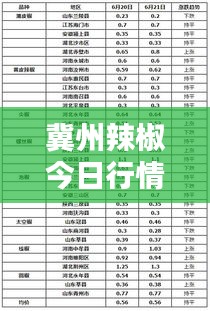 冀州辣椒今日行情，最新价格一览