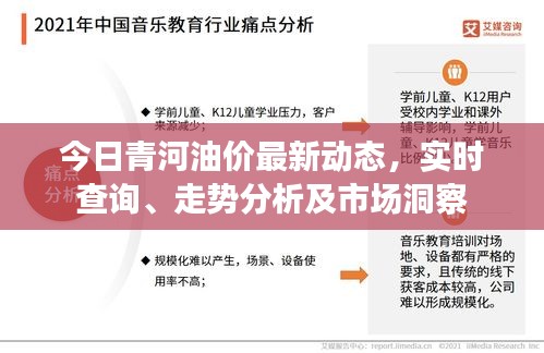 今日青河油价最新动态，实时查询、走势分析及市场洞察