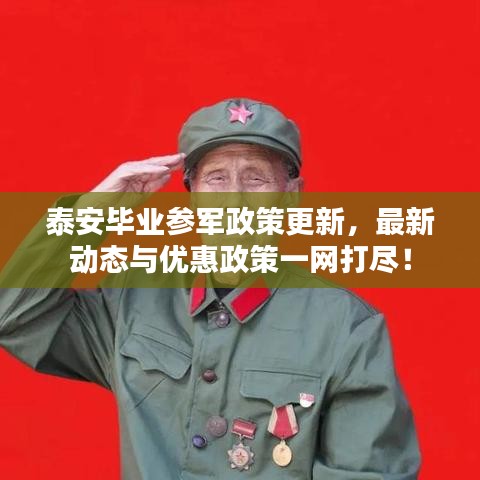 泰安毕业参军政策更新，最新动态与优惠政策一网打尽！