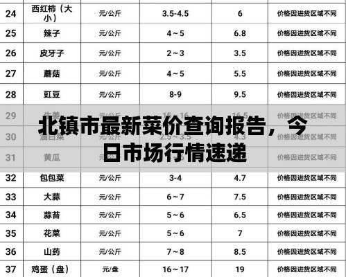 北镇市最新菜价查询报告，今日市场行情速递