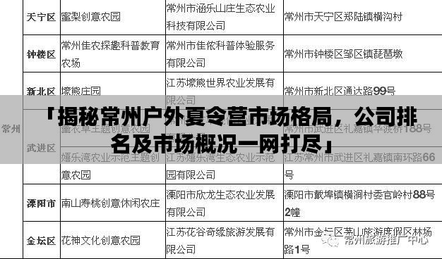 「揭秘常州户外夏令营市场格局，公司排名及市场概况一网打尽」