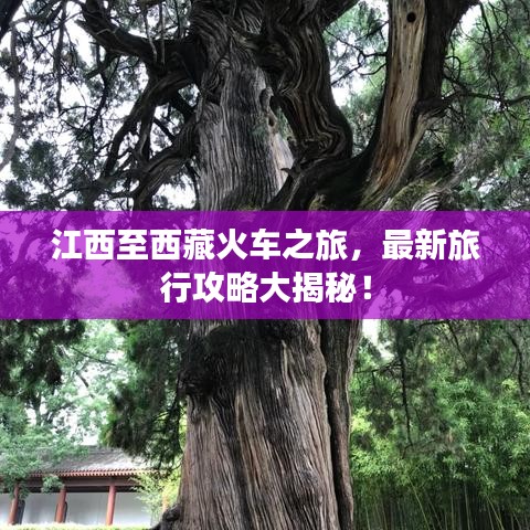 江西至西藏火车之旅，最新旅行攻略大揭秘！