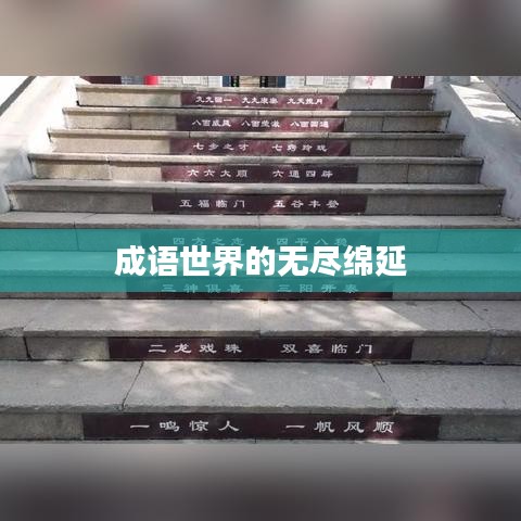 成语世界的无尽绵延