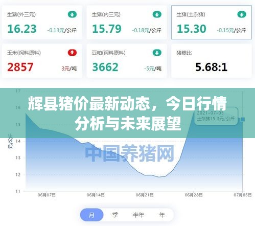 辉县猪价最新动态，今日行情分析与未来展望