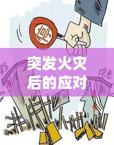 突发火灾后的应对、反思与重建之路