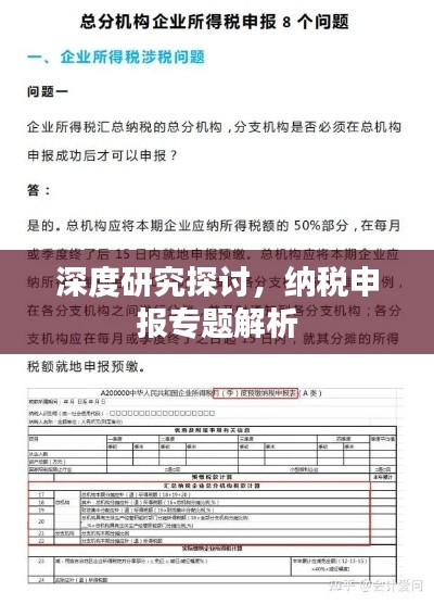 深度研究探讨，纳税申报专题解析