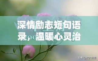 深情励志短句语录，温暖心灵治愈力量