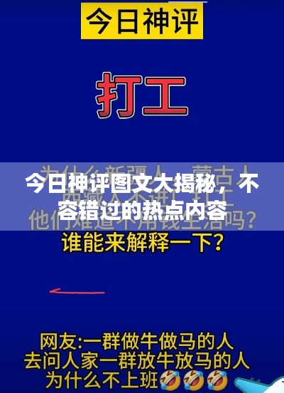 2025年2月5日 第2页