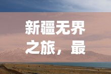 新疆无界之旅，最新旅游攻略全解析