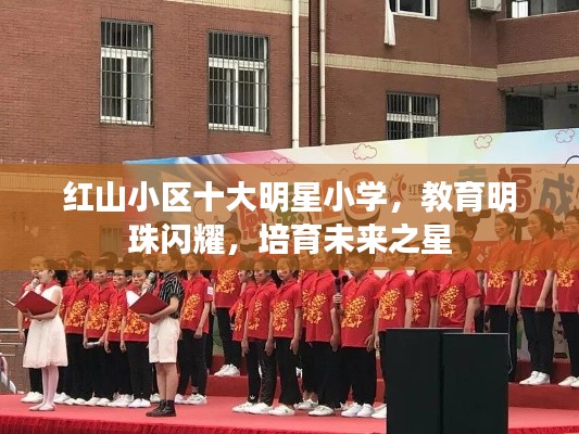 红山小区十大明星小学，教育明珠闪耀，培育未来之星