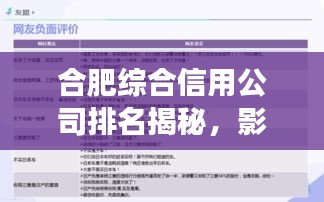 合肥综合信用公司排名揭秘，影响力深度剖析