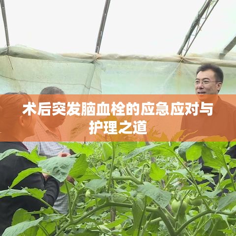 术后突发脑血栓的应急应对与护理之道