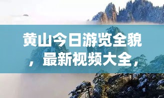 黄山今日游览全貌，最新视频大全，一览绝美风光