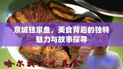 京城独家鱼，美食背后的独特魅力与故事探寻