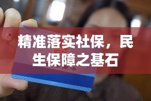 精准落实社保，民生保障之基石