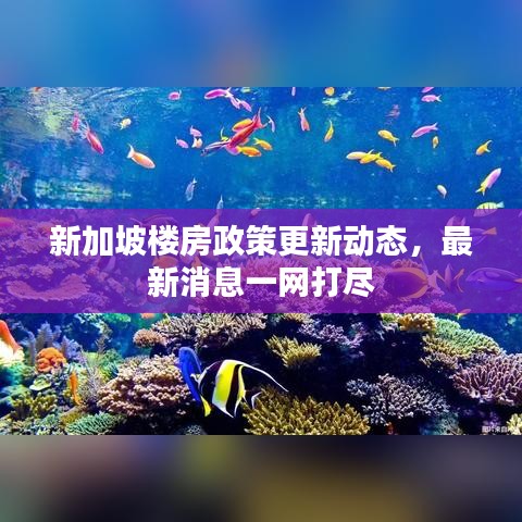 新加坡楼房政策更新动态，最新消息一网打尽