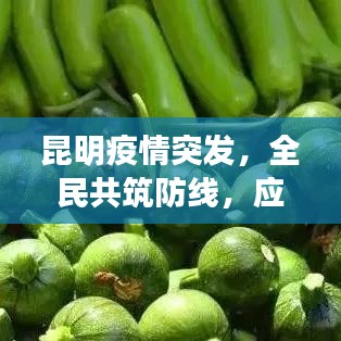 昆明疫情突发，全民共筑防线，应对挑战不松懈