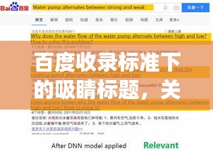 百度收录标准下的吸睛标题，关于失足妇女的深度思考与社会探讨