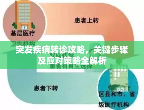 突发疾病转诊攻略，关键步骤及应对策略全解析