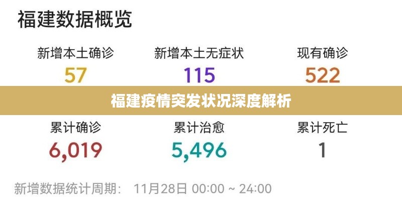 福建疫情突发状况深度解析