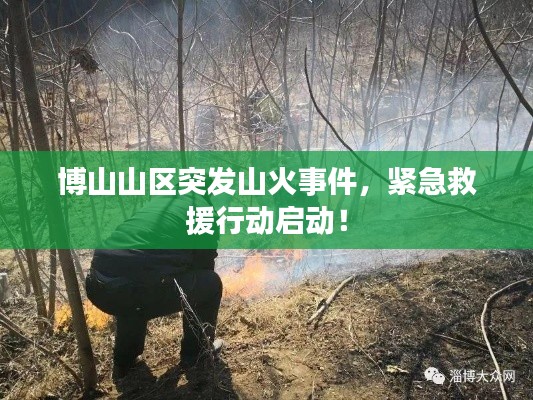 博山山区突发山火事件，紧急救援行动启动！