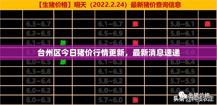 台州区今日猪价行情更新，最新消息速递