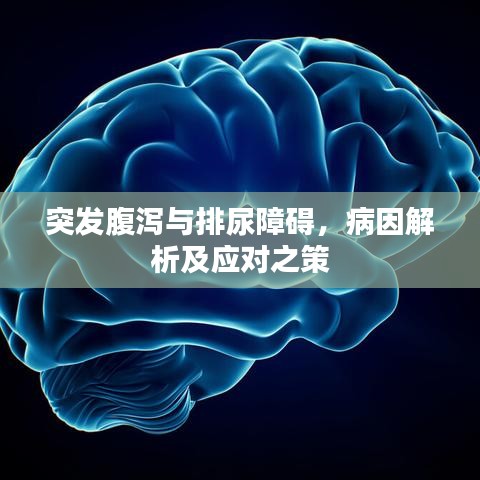 突发腹泻与排尿障碍，病因解析及应对之策