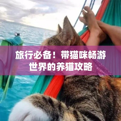 旅行必备！带猫咪畅游世界的养猫攻略