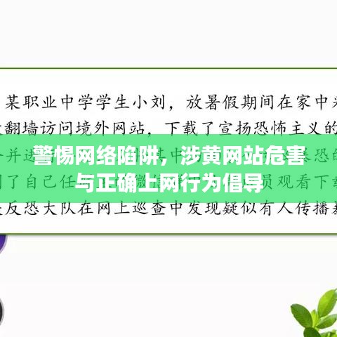 警惕网络陷阱，涉黄网站危害与正确上网行为倡导