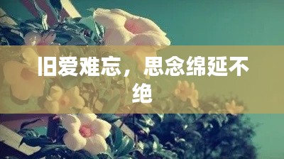 旧爱难忘，思念绵延不绝