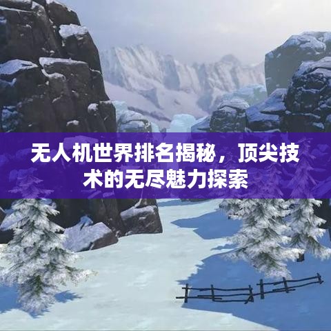 无人机世界排名揭秘，顶尖技术的无尽魅力探索