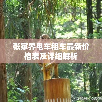 张家界电车租车最新价格表及详细解析