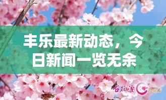 丰乐最新动态，今日新闻一览无余