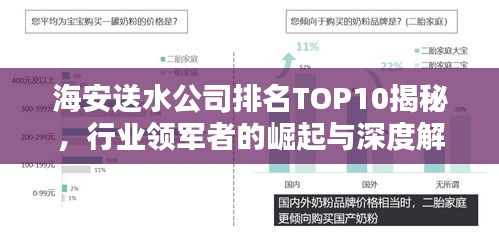 海安送水公司排名TOP10揭秘，行业领军者的崛起与深度解析