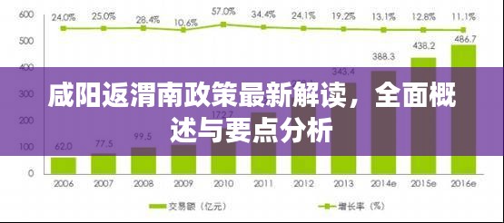 咸阳返渭南政策最新解读，全面概述与要点分析