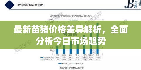 最新苗猪价格差异解析，全面分析今日市场趋势