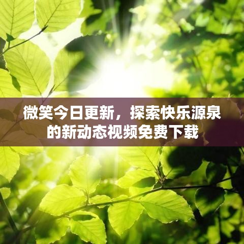 微笑今日更新，探索快乐源泉的新动态视频免费下载