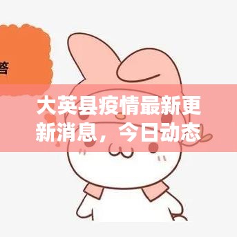 大英县疫情最新更新消息，今日动态速递