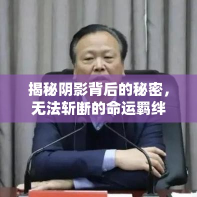 揭秘阴影背后的秘密，无法斩断的命运羁绊