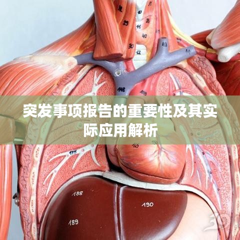 突发事项报告的重要性及其实际应用解析