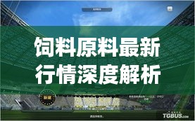 饲料原料最新行情深度解析，今日市场动态一网打尽