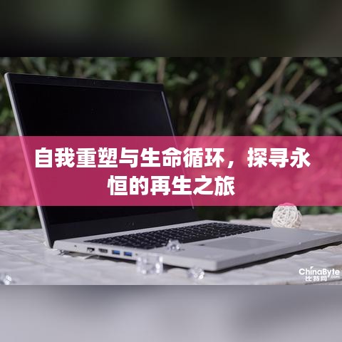 自我重塑与生命循环，探寻永恒的再生之旅