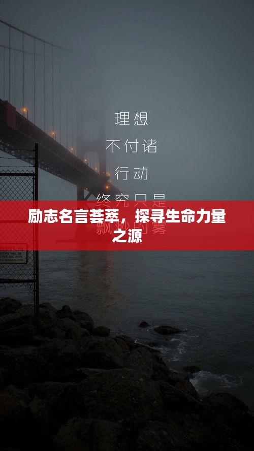 励志名言荟萃，探寻生命力量之源