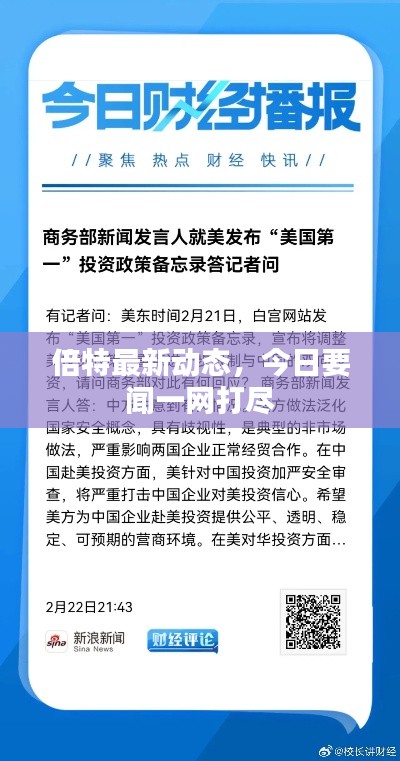 倍特最新动态，今日要闻一网打尽