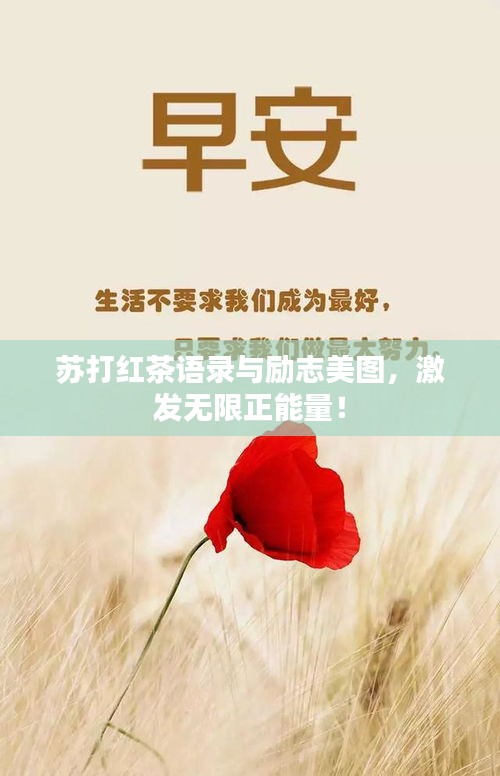 苏打红茶语录与励志美图，激发无限正能量！