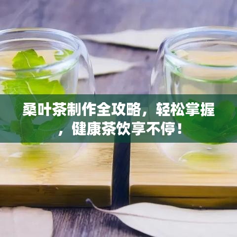 桑叶茶制作全攻略，轻松掌握，健康茶饮享不停！