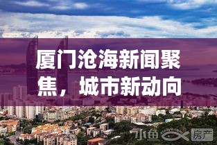 厦门沧海新闻聚焦，城市新动向与发展热点一网打尽