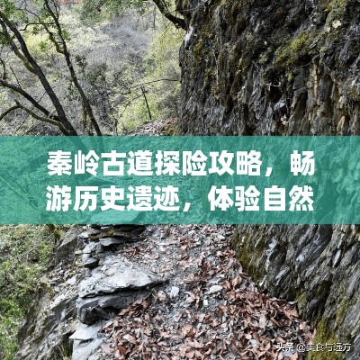 秦岭古道探险攻略，畅游历史遗迹，体验自然之美